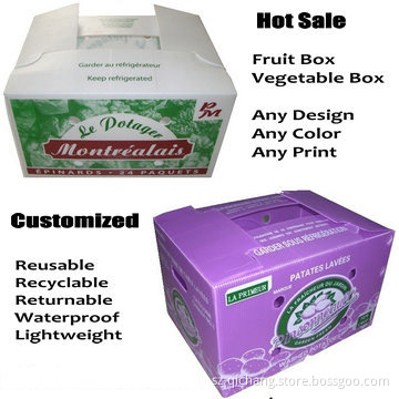 Custom Plastic Compartment Storage Box, Corrugated Plastic Box (QC1232)